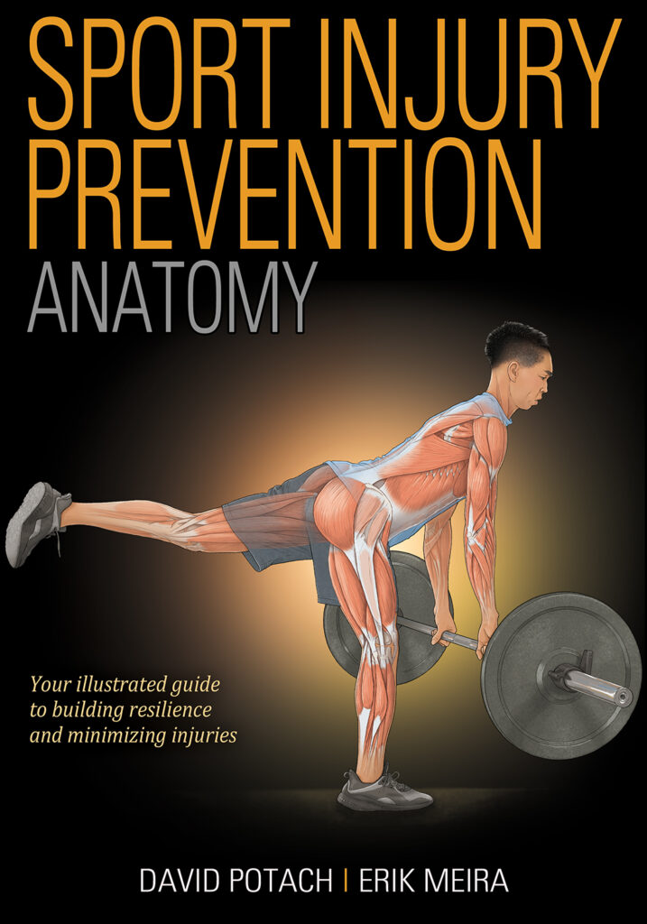 Sport-Injury-Prevention-Anatomy